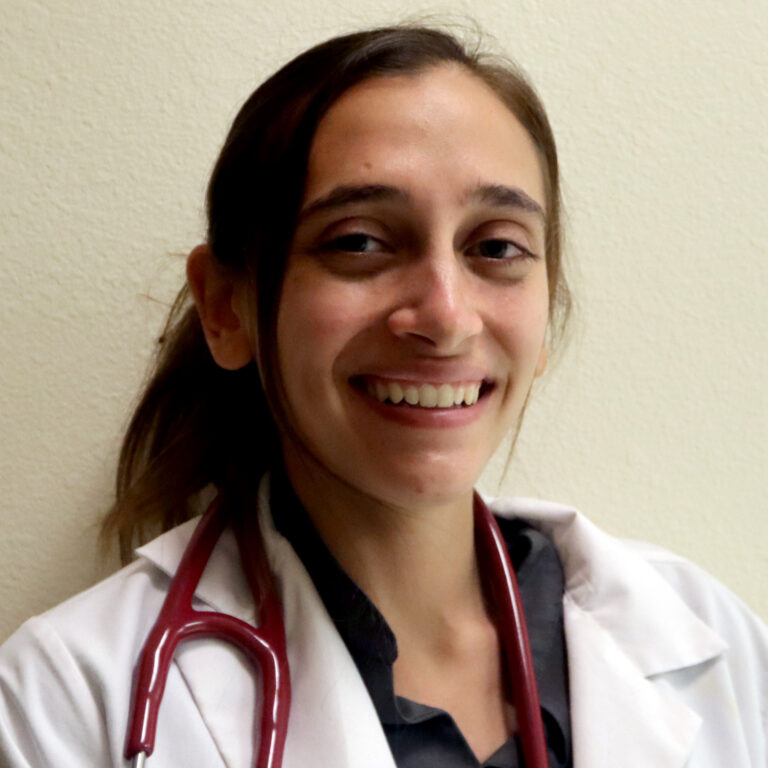 Pet Transport and Deliveries