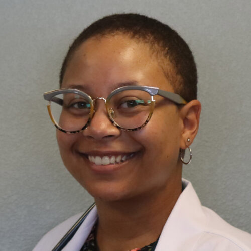 Pet Transport and Deliveries